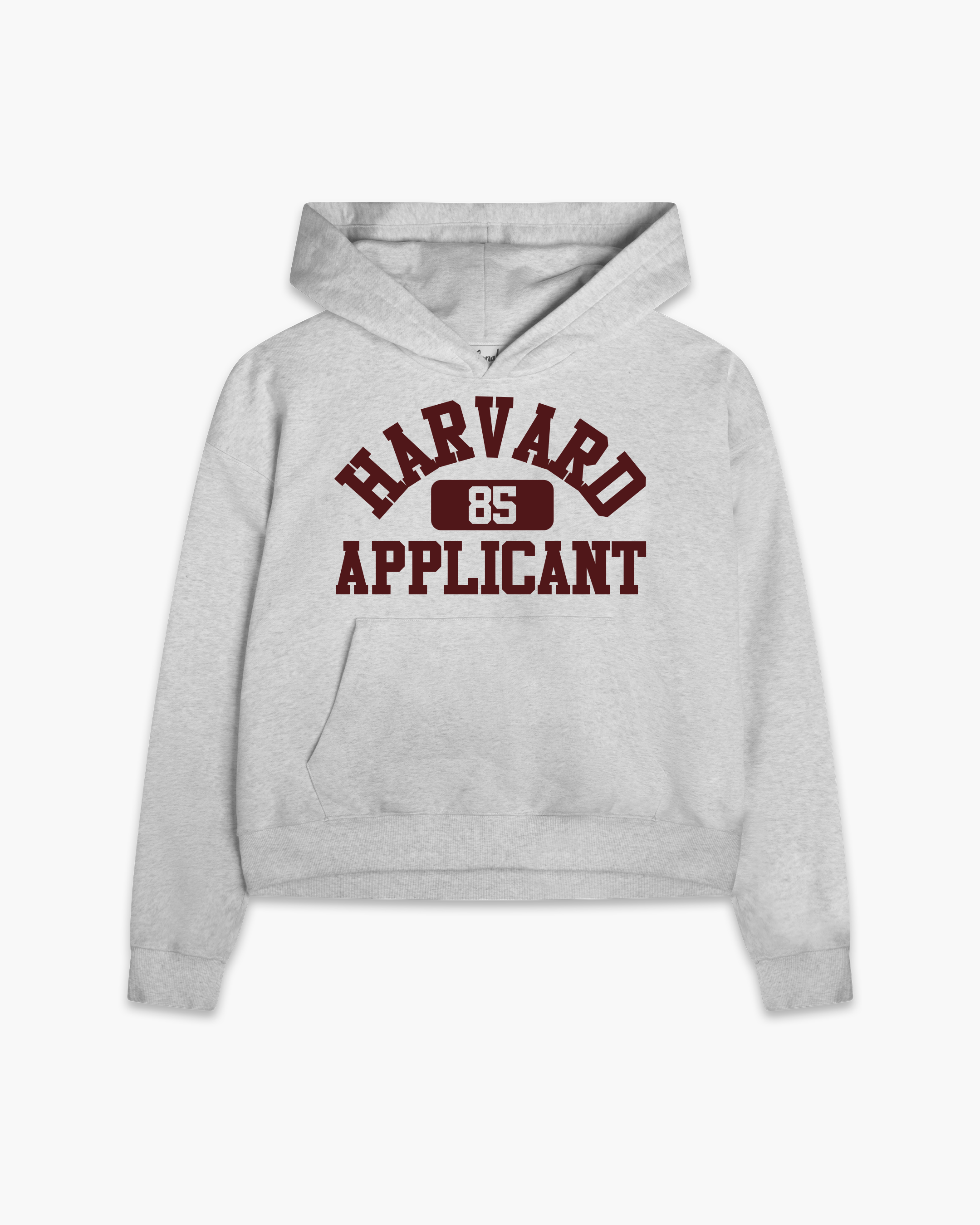 HARVARD APPLICANT HOODIE Jonah