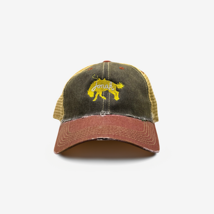 Bullseye Cap