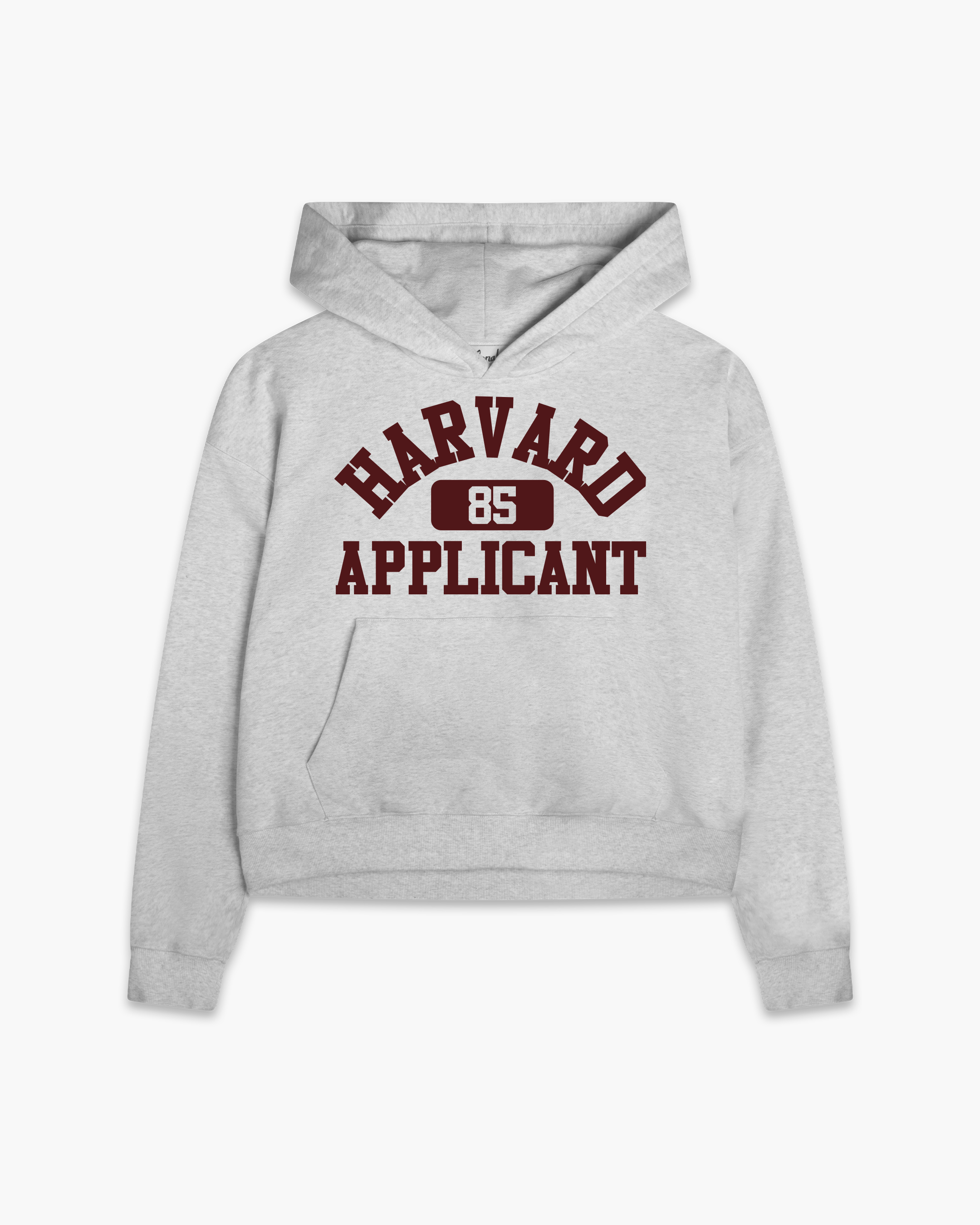 HARVARD APPLICANT HOODIE