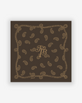 JTB Paisley Silk Bandana